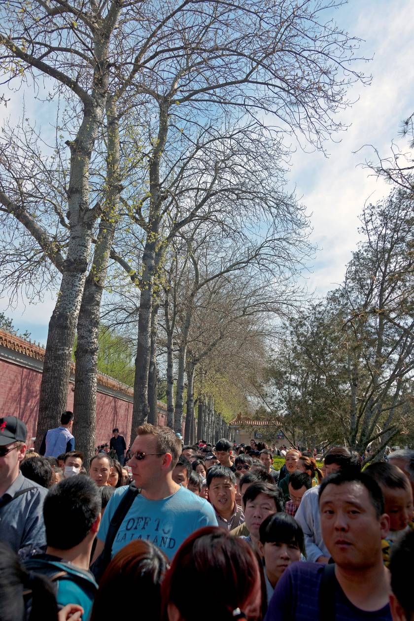 A long queue of visitors along an avenue between a wall and trees outside the entrance to the Forbidden City