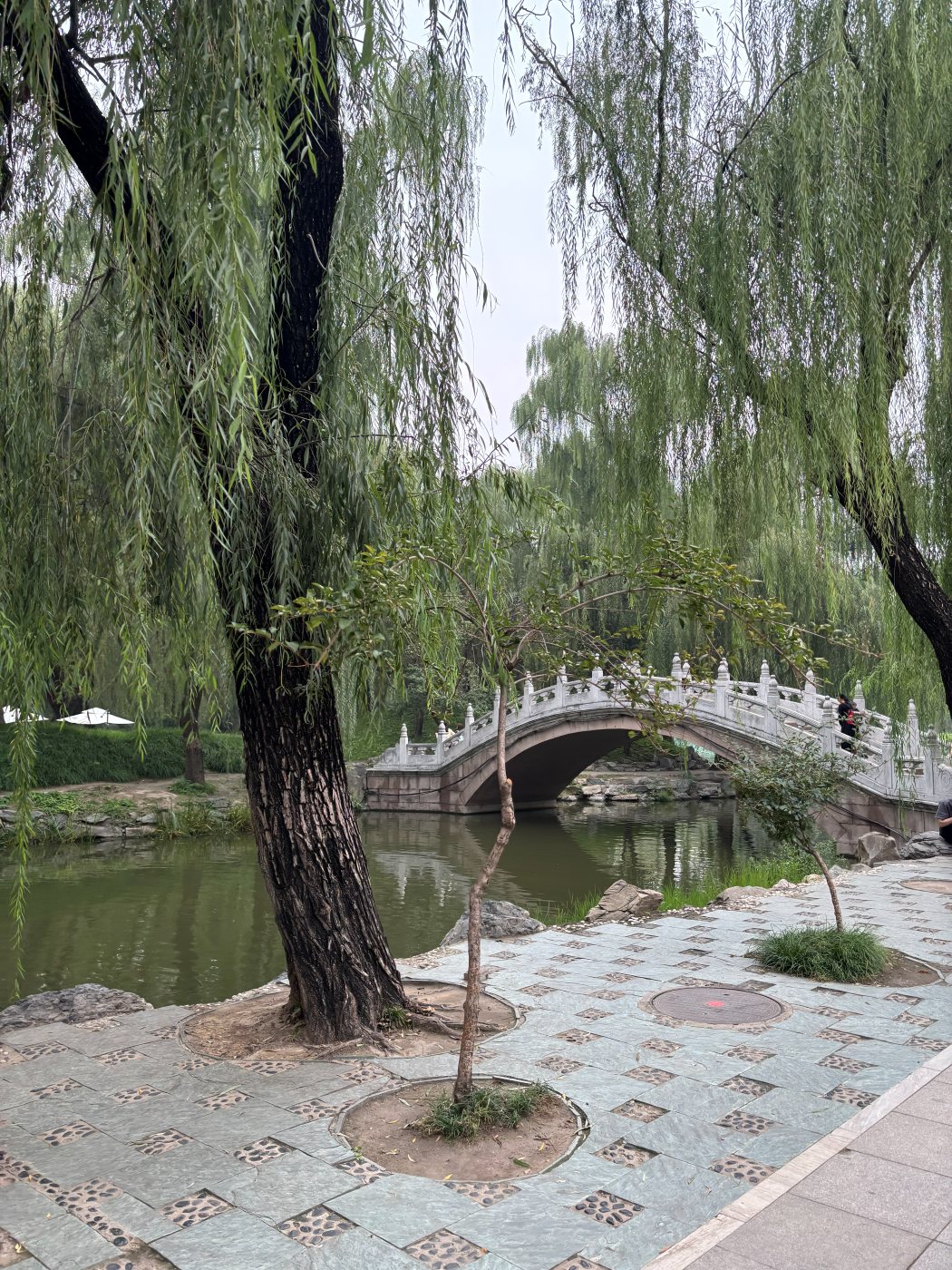 A stone bridge over a pond among green willows in a Beijing park